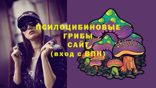 спайс Киреевск