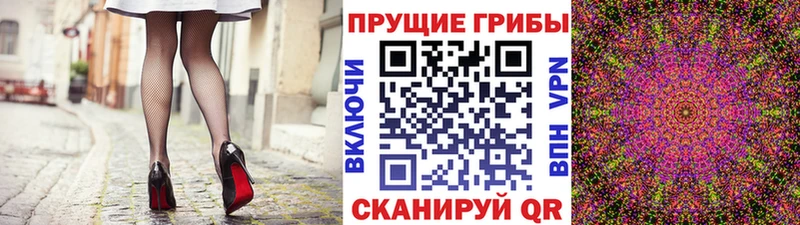 Купить  Изобильный  Галлюциногенные грибы Psilocybe 