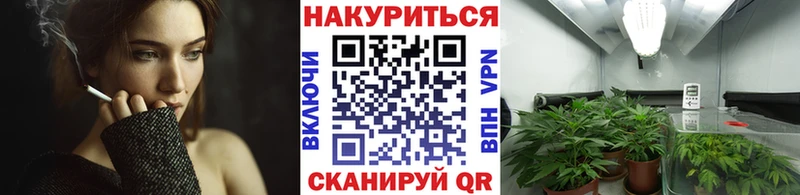 Канабис гибрид  Купить  Изобильный 